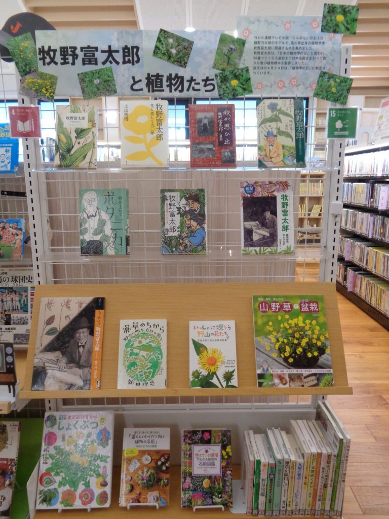 展示1「牧野富太郎と植物たち」